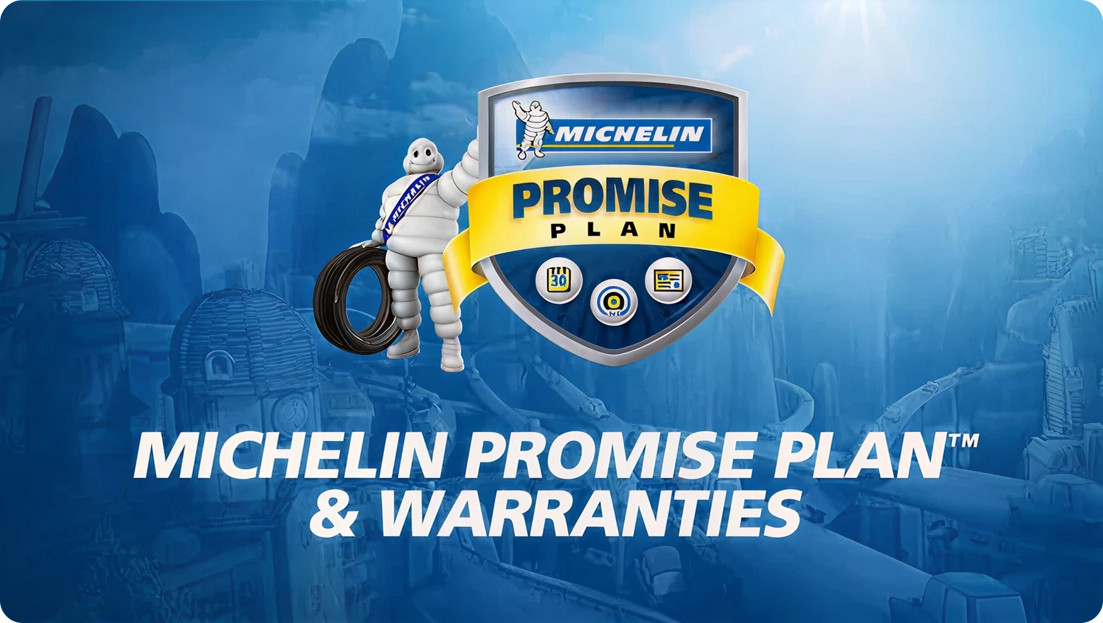 Michelin Promise Plan